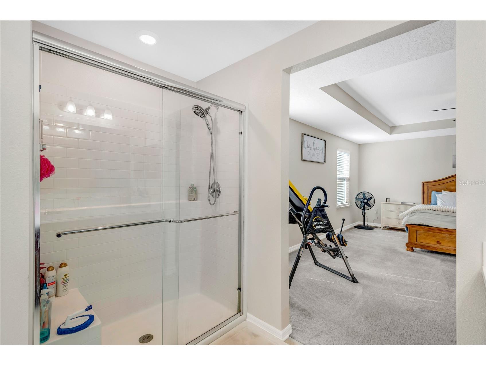 12407 Brick Cobblestone Drive Riverview FL 33579 TB8470257 image27
