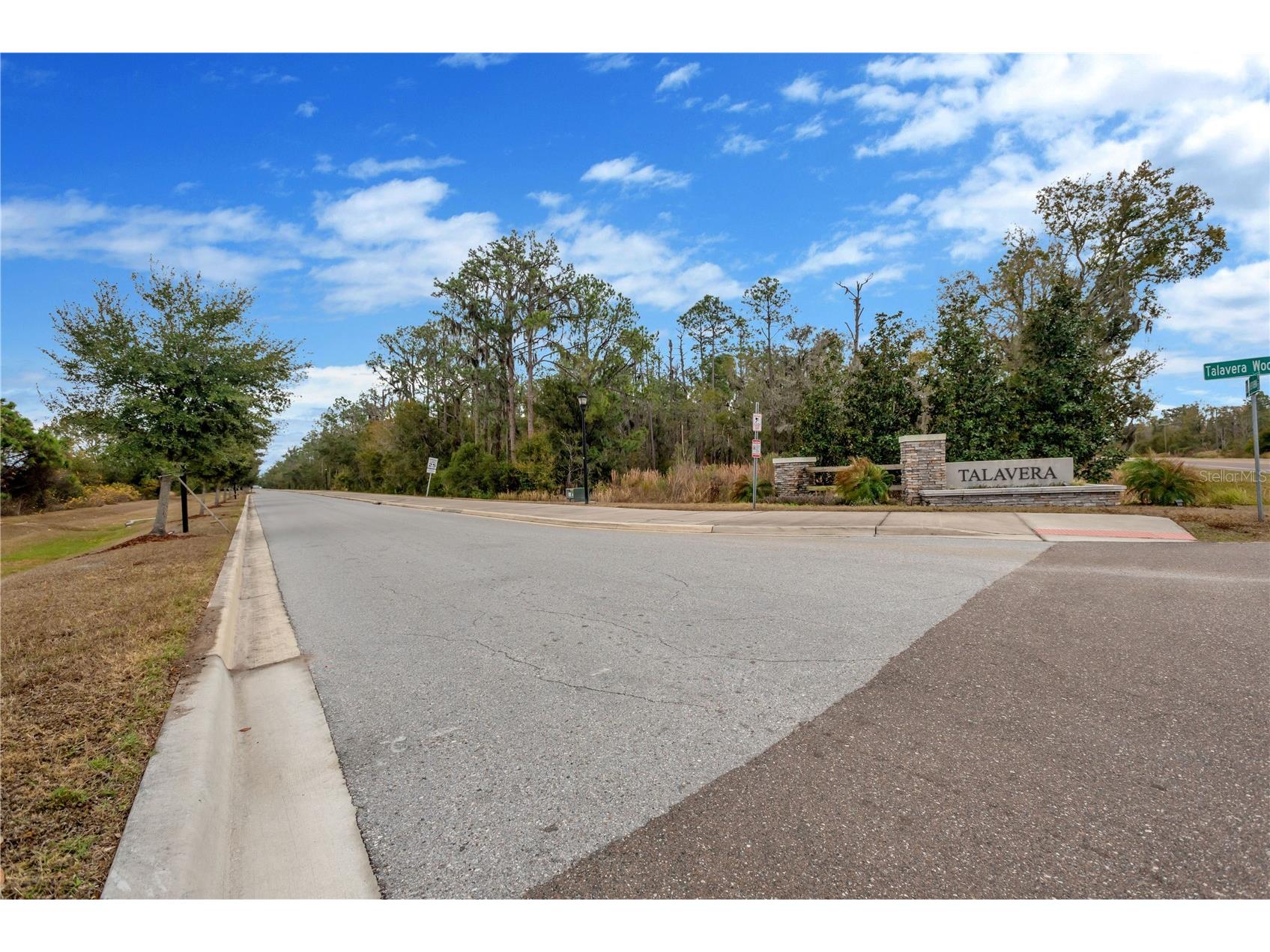 12407 Brick Cobblestone Drive Riverview FL 33579 TB8470257 image42