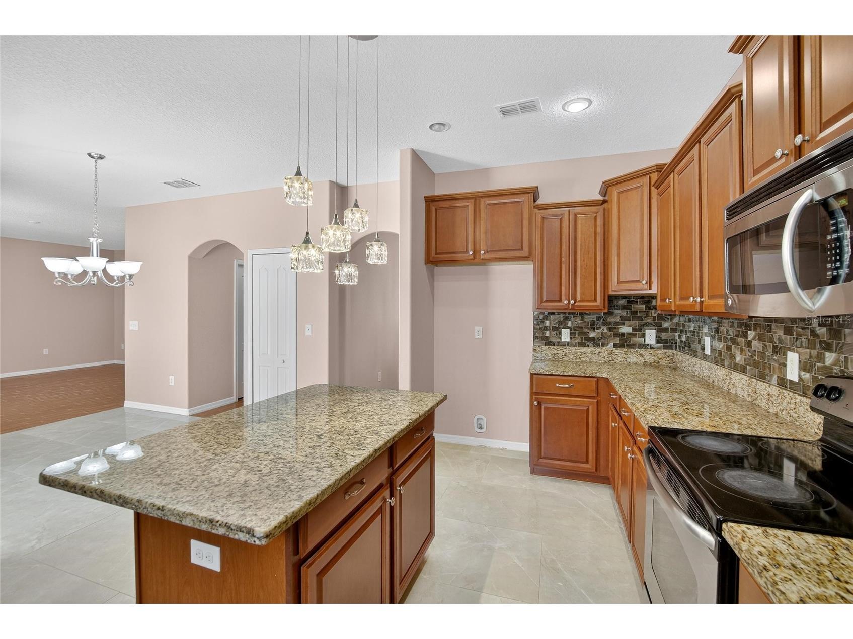 12407 Gilmerton Mist Lane Riverview FL 33579 TB8418264 image21