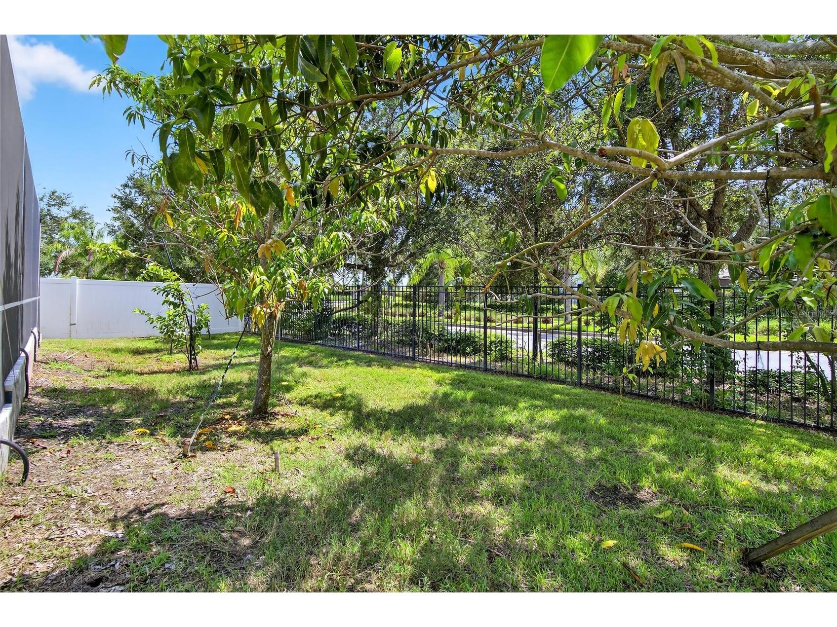 12407 Gilmerton Mist Lane Riverview FL 33579 TB8418264 image76