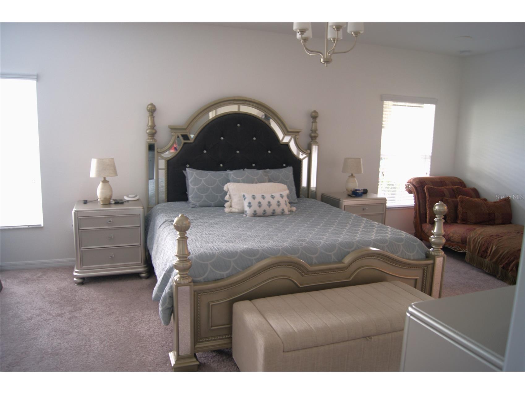 12407 Hilltop Farms Drive Dade City FL 33525 TB8524304 image6