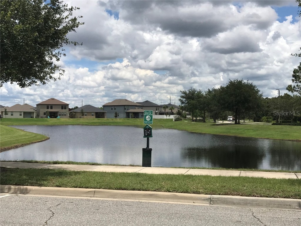 12407 Mossy Oak Drive Orlando FL 32832 S5130702 image22