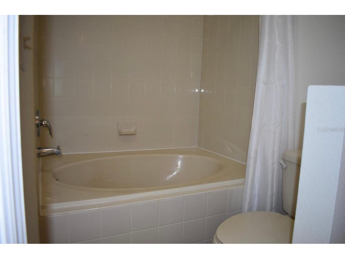 12407 Mossy Oak Drive Orlando FL 32832 S5130702 image9