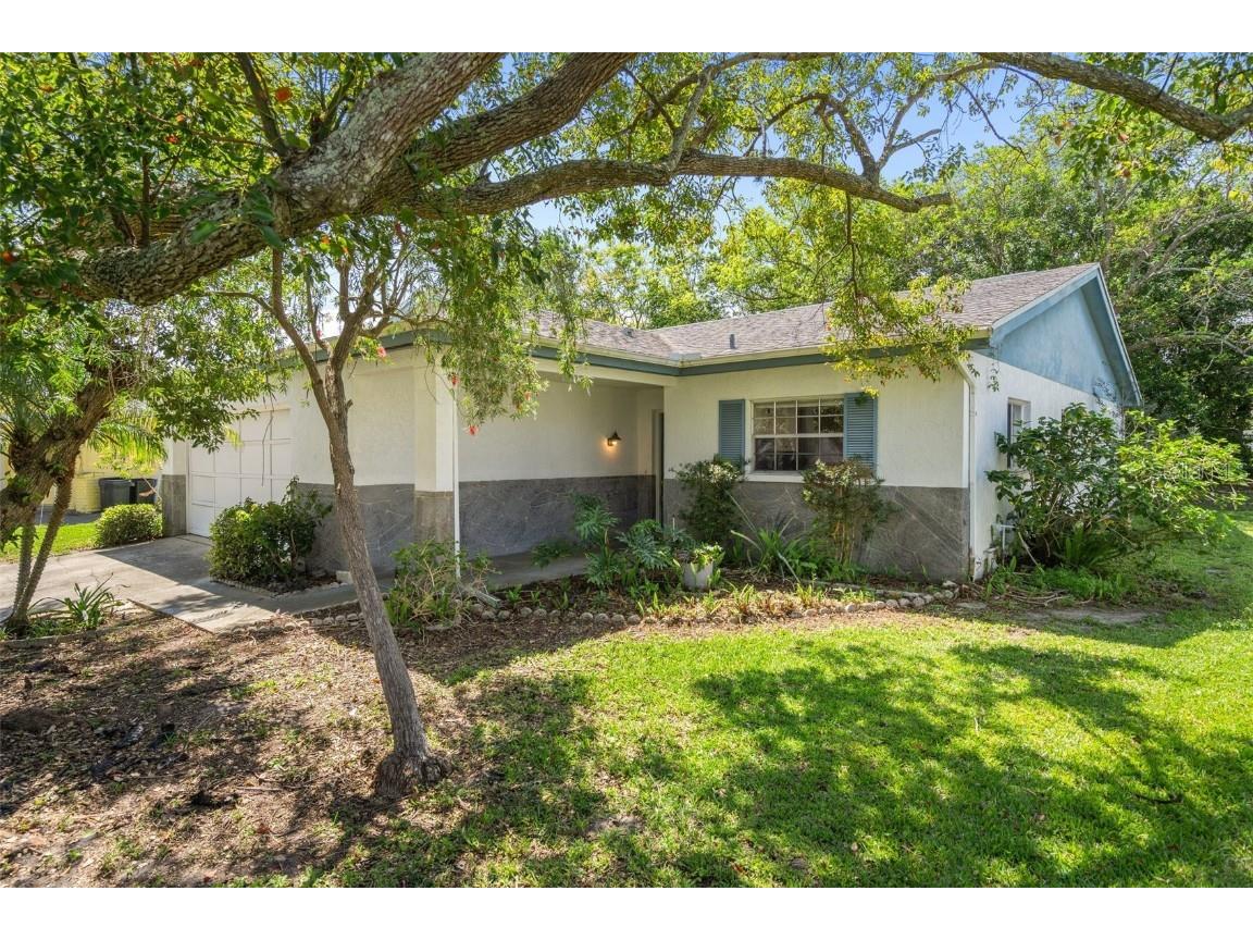 12407 Spanish Moss Drive Hudson FL 34667 T3512298 image1