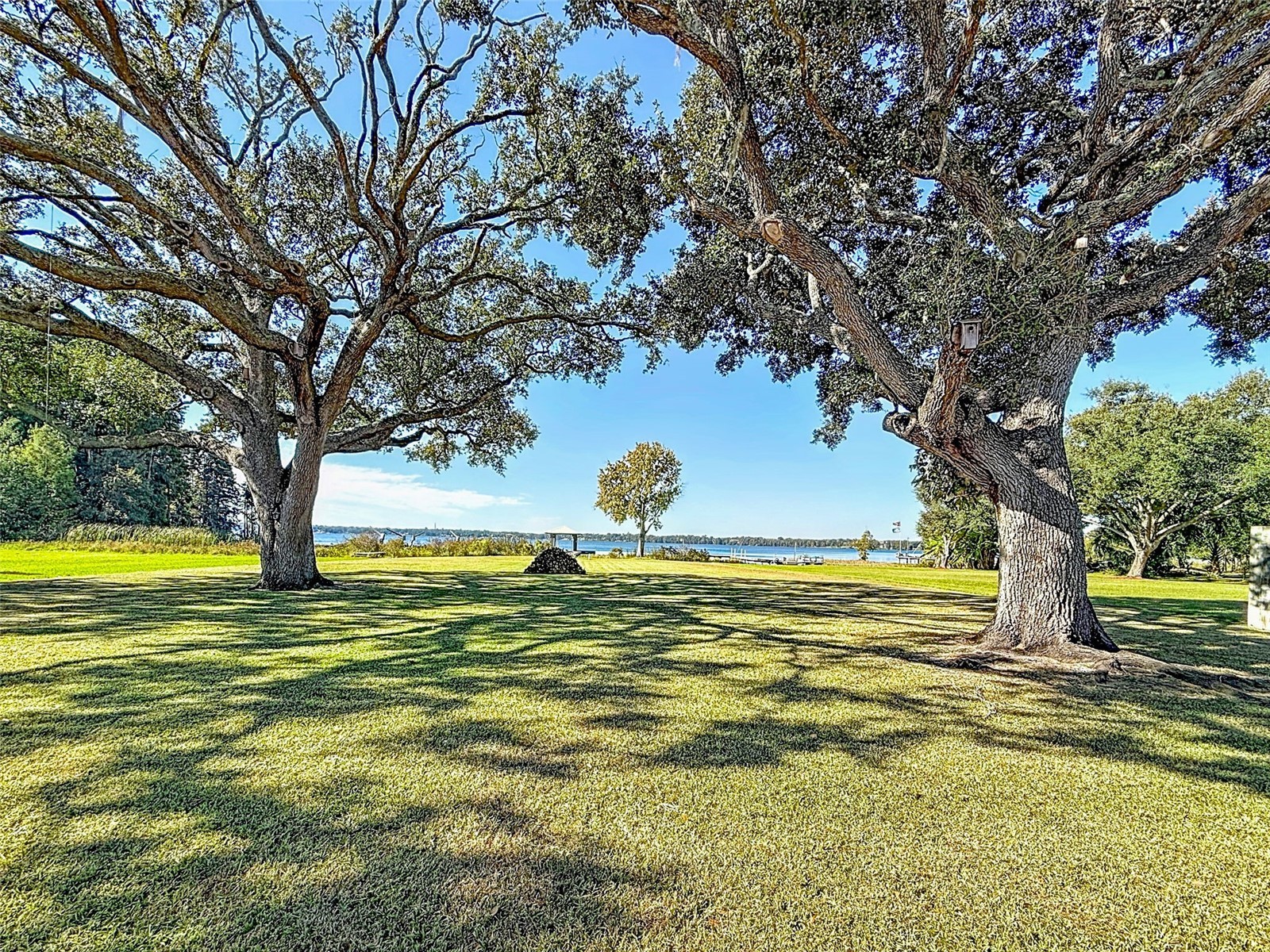 12408 Kelso Road Thonotosassa FL 33592 - LAKE THONOTOSASSA TB8445807 image67