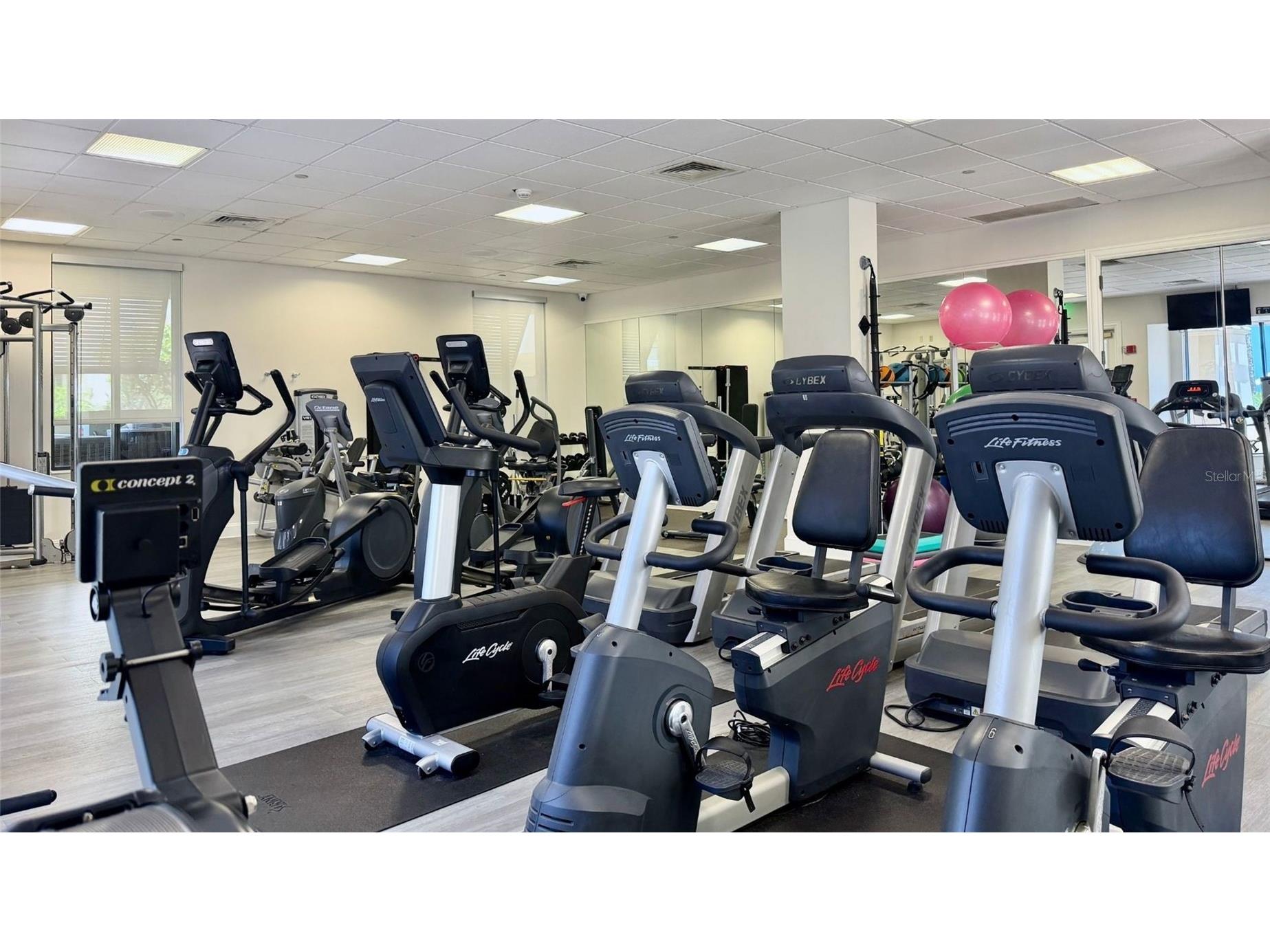 1241 Gulf Of Mexico Drive #506 Longboat Key FL 34228 A4689658 image58