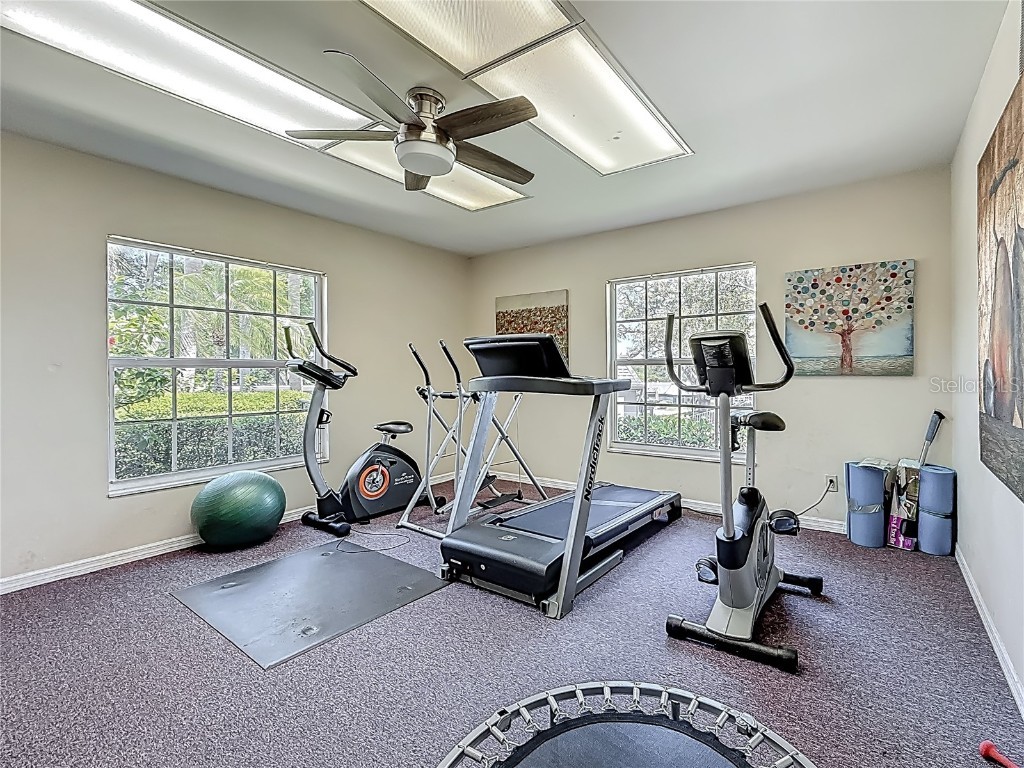 1241 N Mcmullen Booth Road Clearwater FL 33759 TB8377312 image33