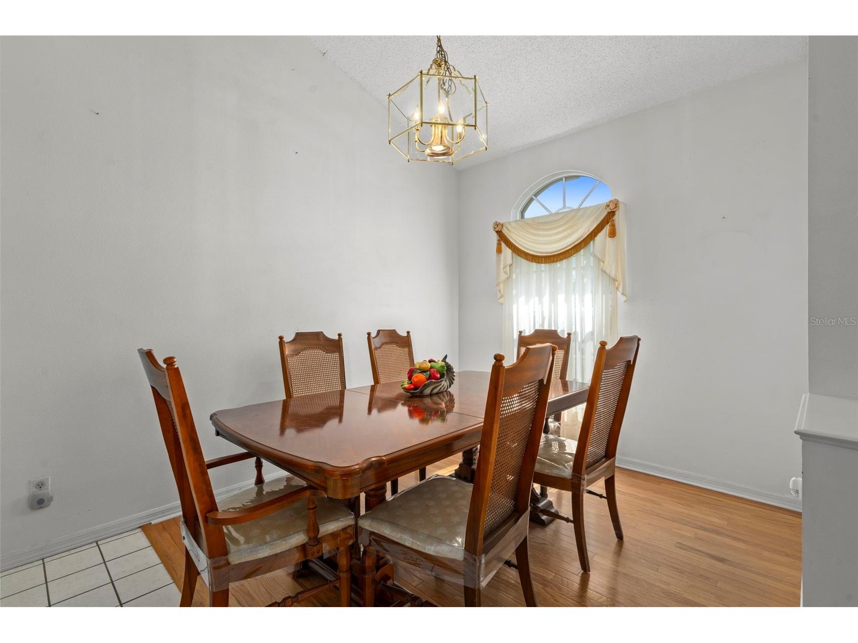 1241 Persian Avenue Spring Hill FL 34608 OM723871 image11