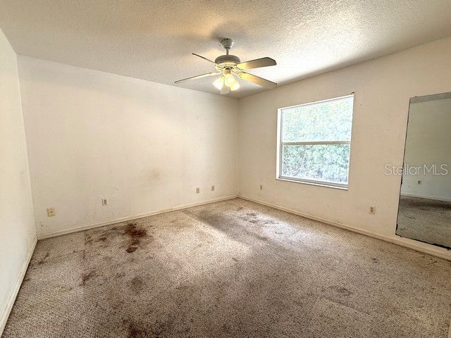 1241 S Venice Boulevard Venice FL 34293 C7524567 image39