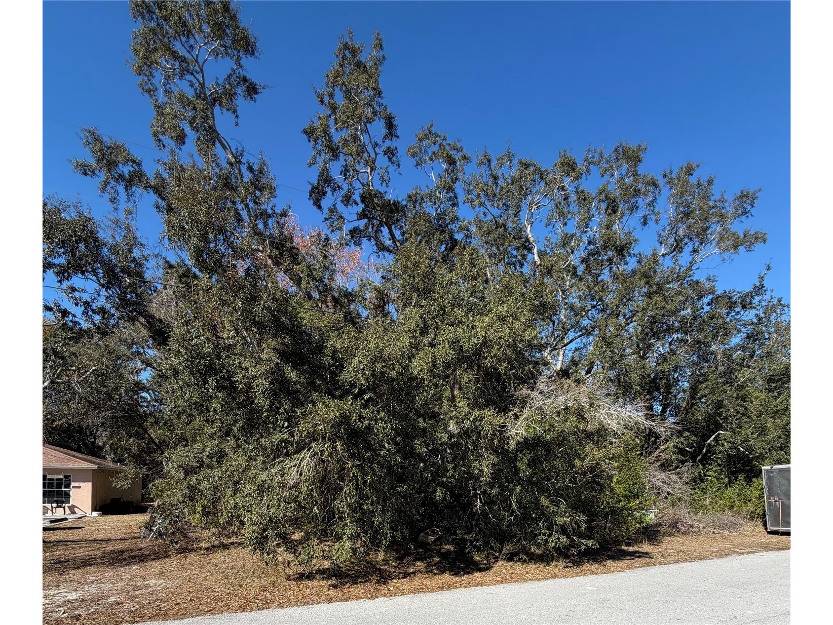 1241 Sylvia Avenue Spring Hill FL 34606 TB8471721 image1