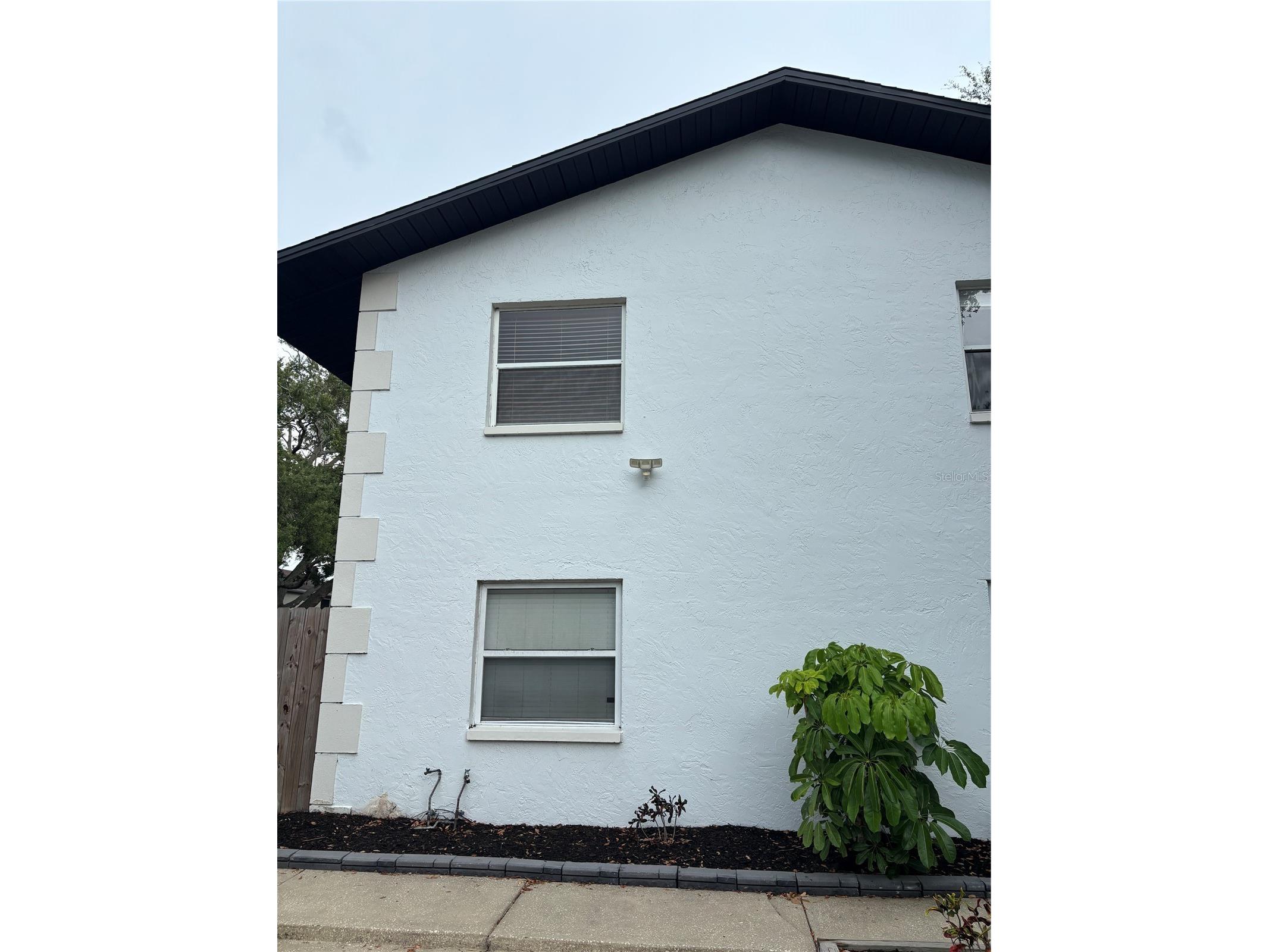 1241 Turner Street #B Clearwater FL 33756 TB8524648 image1