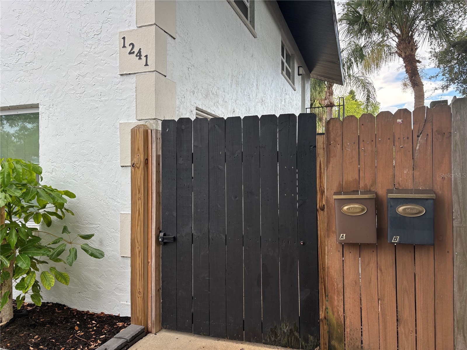 1241 Turner Street #B Clearwater FL 33756 TB8524648 image2