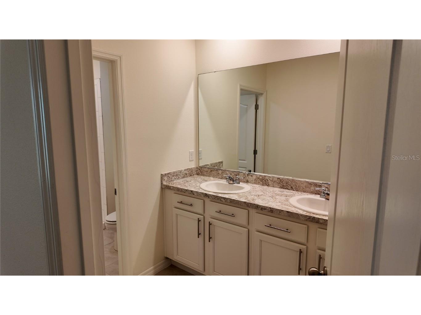 1241 Yellow Finch Drive Davenport FL 33837 S5141196 image21