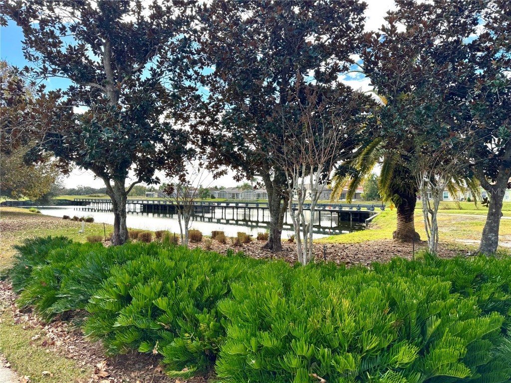 1241 Yellow Finch Drive Davenport FL 33837 S5141196 image46