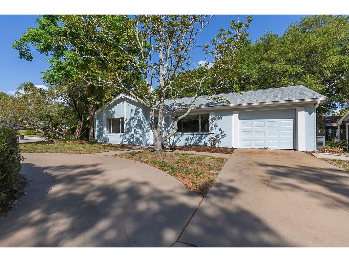 12410 Carriage Lane Bayonet Point FL 34667 O6020629 image1