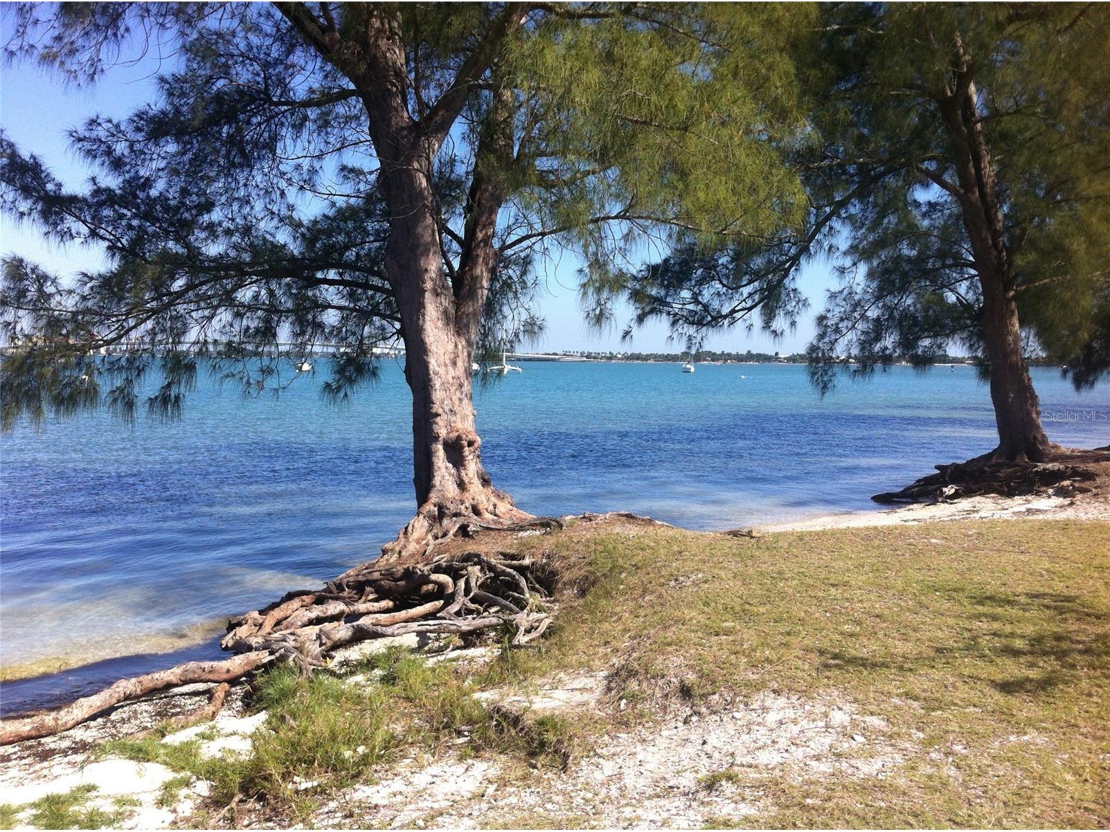12410 Osorio Court #203 Sarasota FL 34238 A4681289 image55