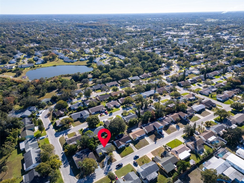 12410 Partridge Hill Row Hudson FL 34667 TB8448529 image30