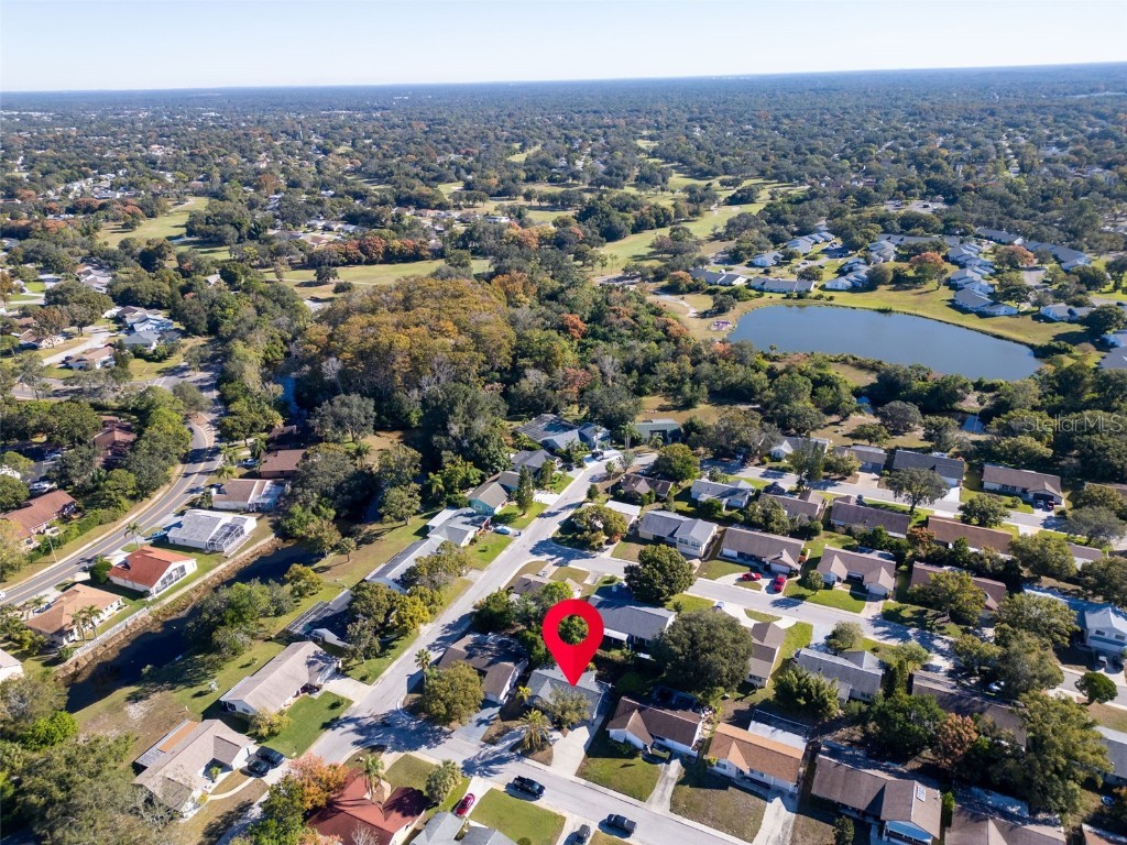 12410 Partridge Hill Row Hudson FL 34667 TB8448529 image33