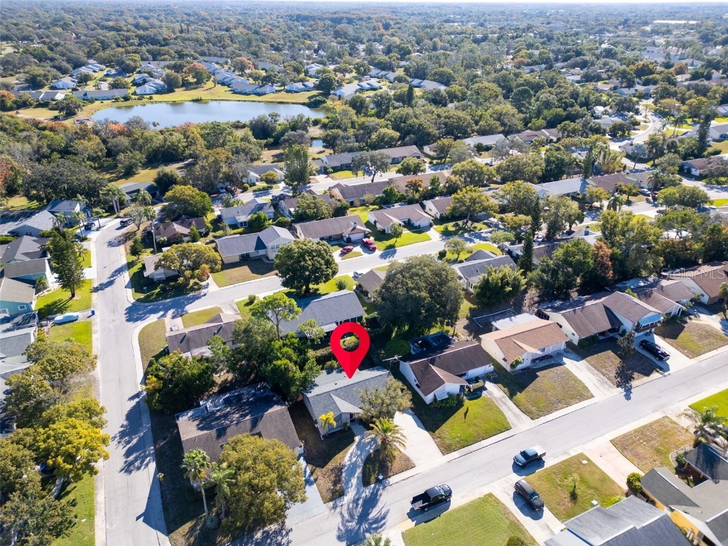 12410 Partridge Hill Row Hudson FL 34667 TB8448529 image34