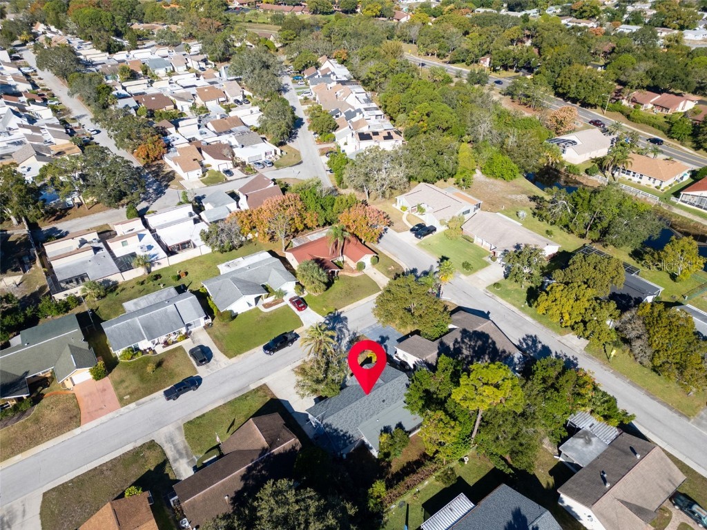 12410 Partridge Hill Row Hudson FL 34667 TB8448529 image35