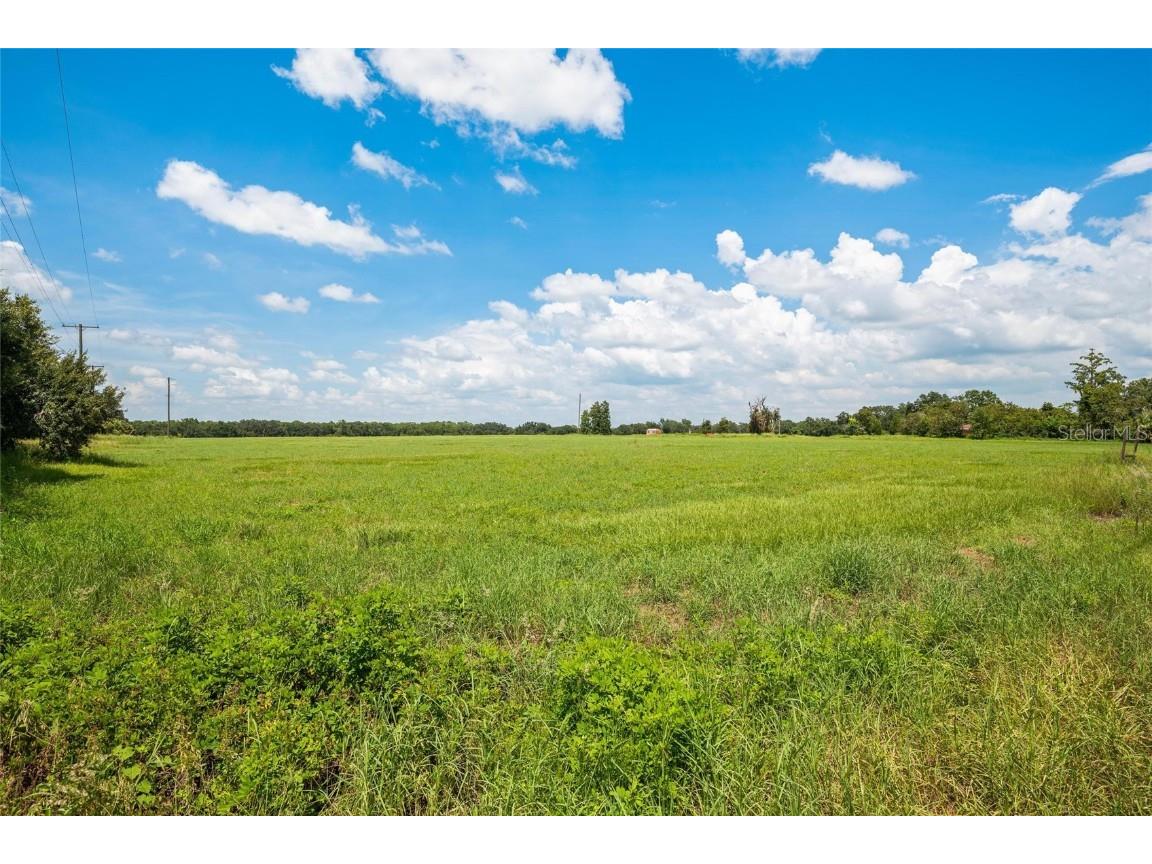 12410 Thonotosassa Road Thonotosassa FL 33592 TB8417428 image13