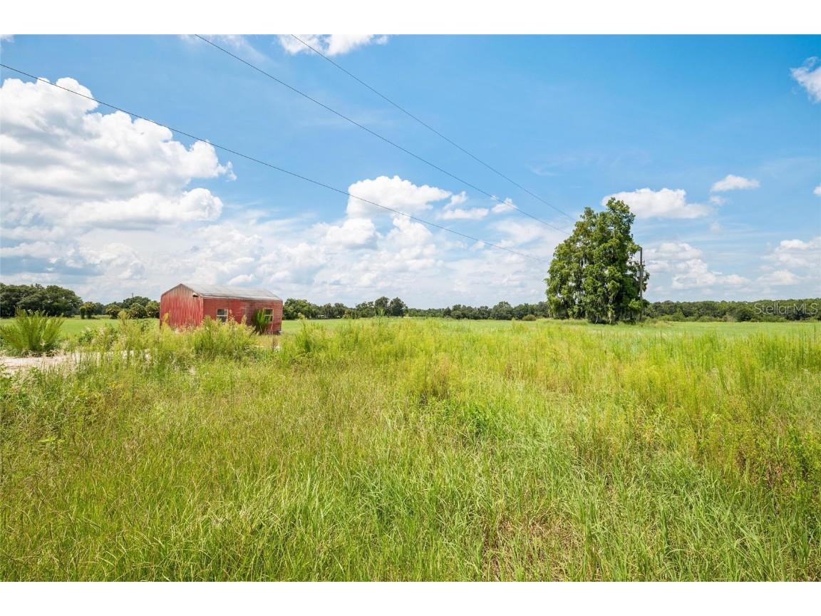 12410 Thonotosassa Road Thonotosassa FL 33592 TB8417428 image16