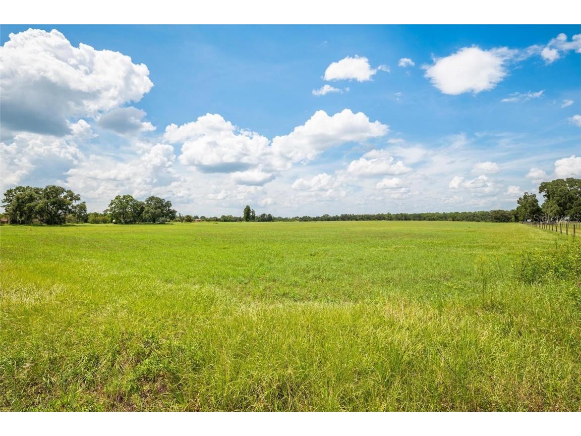 12410 Thonotosassa Road Thonotosassa FL 33592 TB8417428 image17