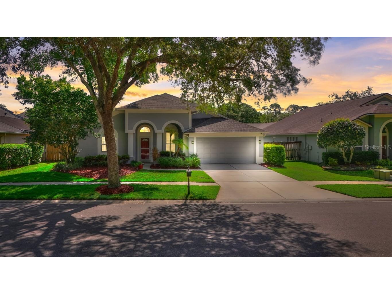 12411 Ashville Drive Tampa FL 33626 T3519218 image1