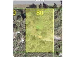 12411 Divan Avenue Port Charlotte FL 33981 N6140414 image2