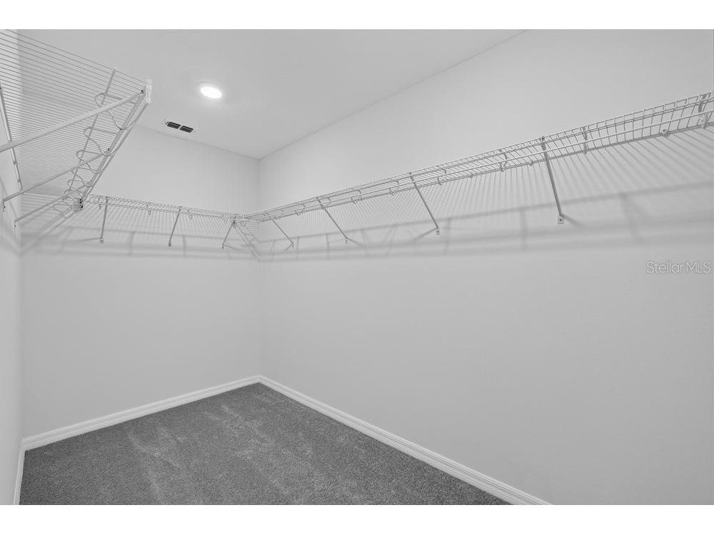 12411 Gust Court Hudson FL 34669 TB8487539 image16