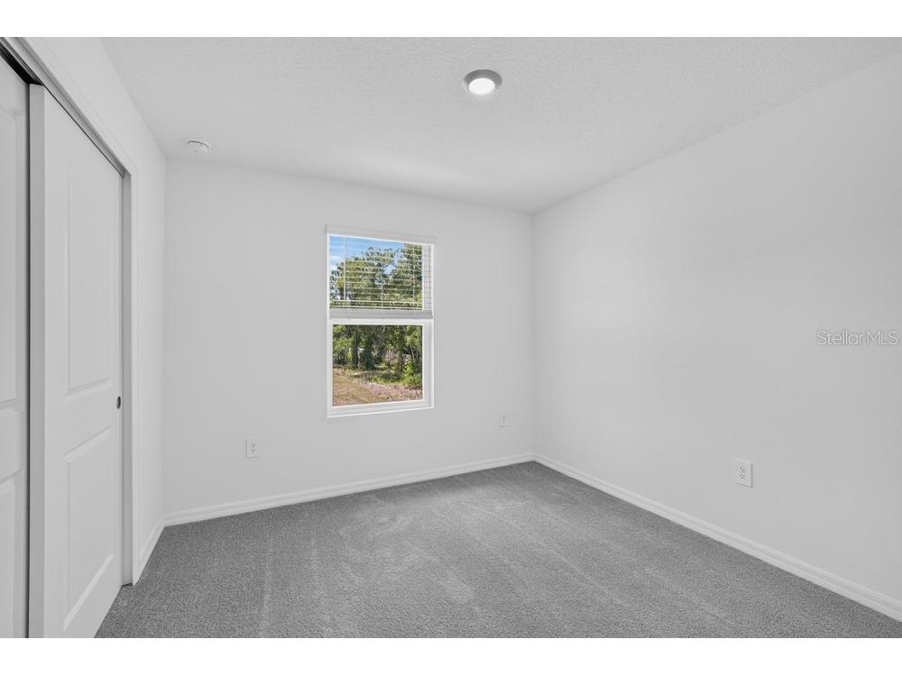 12411 Gust Court Hudson FL 34669 TB8487539 image19