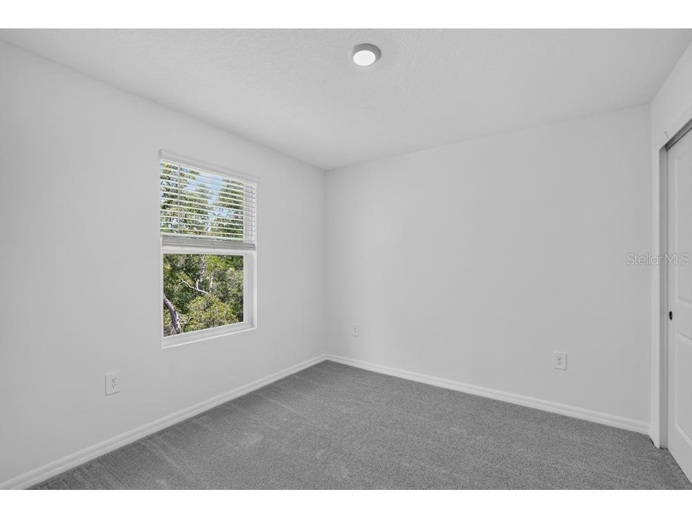 12411 Gust Court Hudson FL 34669 TB8487539 image20