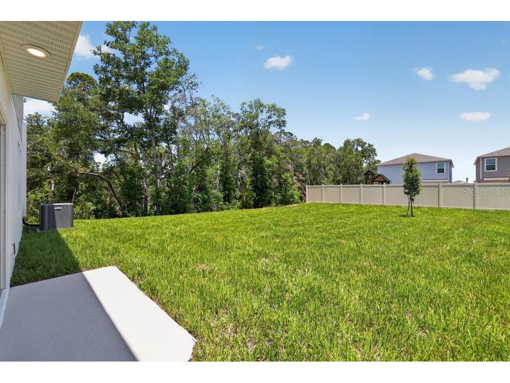 12411 Gust Court Hudson FL 34669 TB8487539 image31
