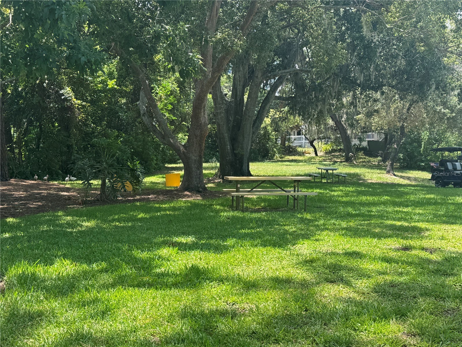 12411 Partridge Hill Row Hudson FL 34667 TB8525865 image30
