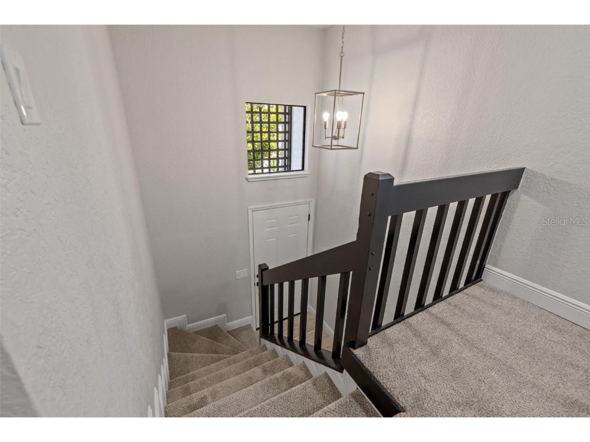 12411 Titus Court #12411 Tampa FL 33612 TB8442937 image12