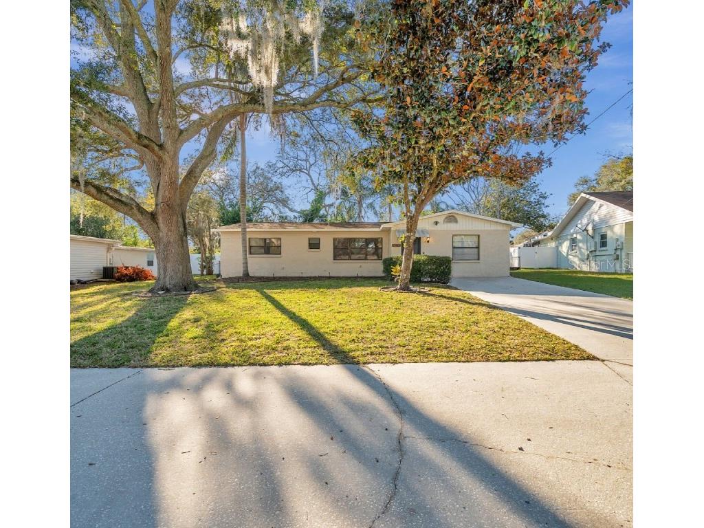12412 Noreast Lake Drive Tampa FL 33612 T3502169 image1
