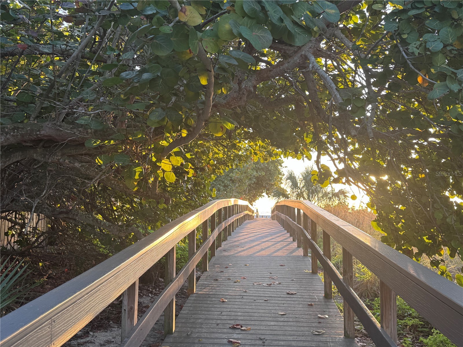 12412 Sunshine Lane Treasure Island FL 33706 TB8460386 image33