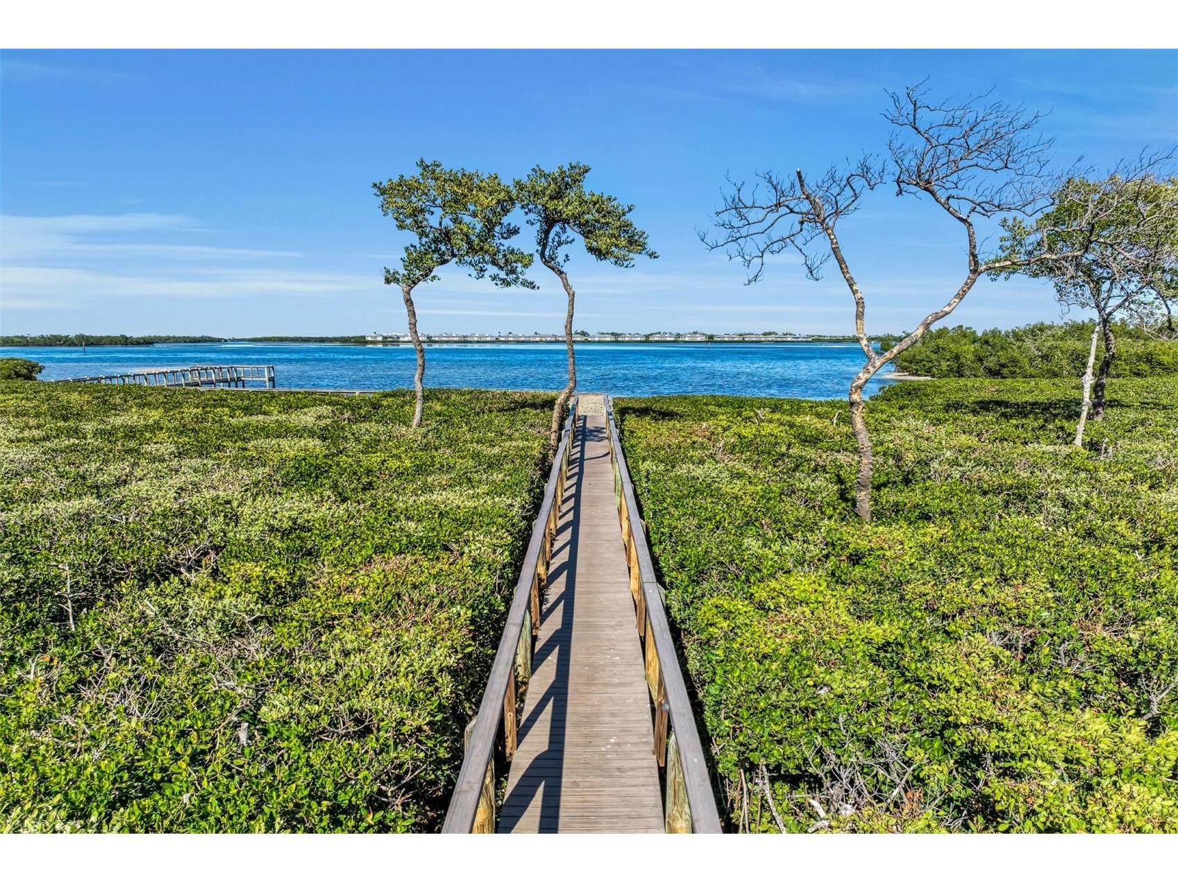 12413 Baypointe Terrace Cortez FL 34215 A4678909 image76