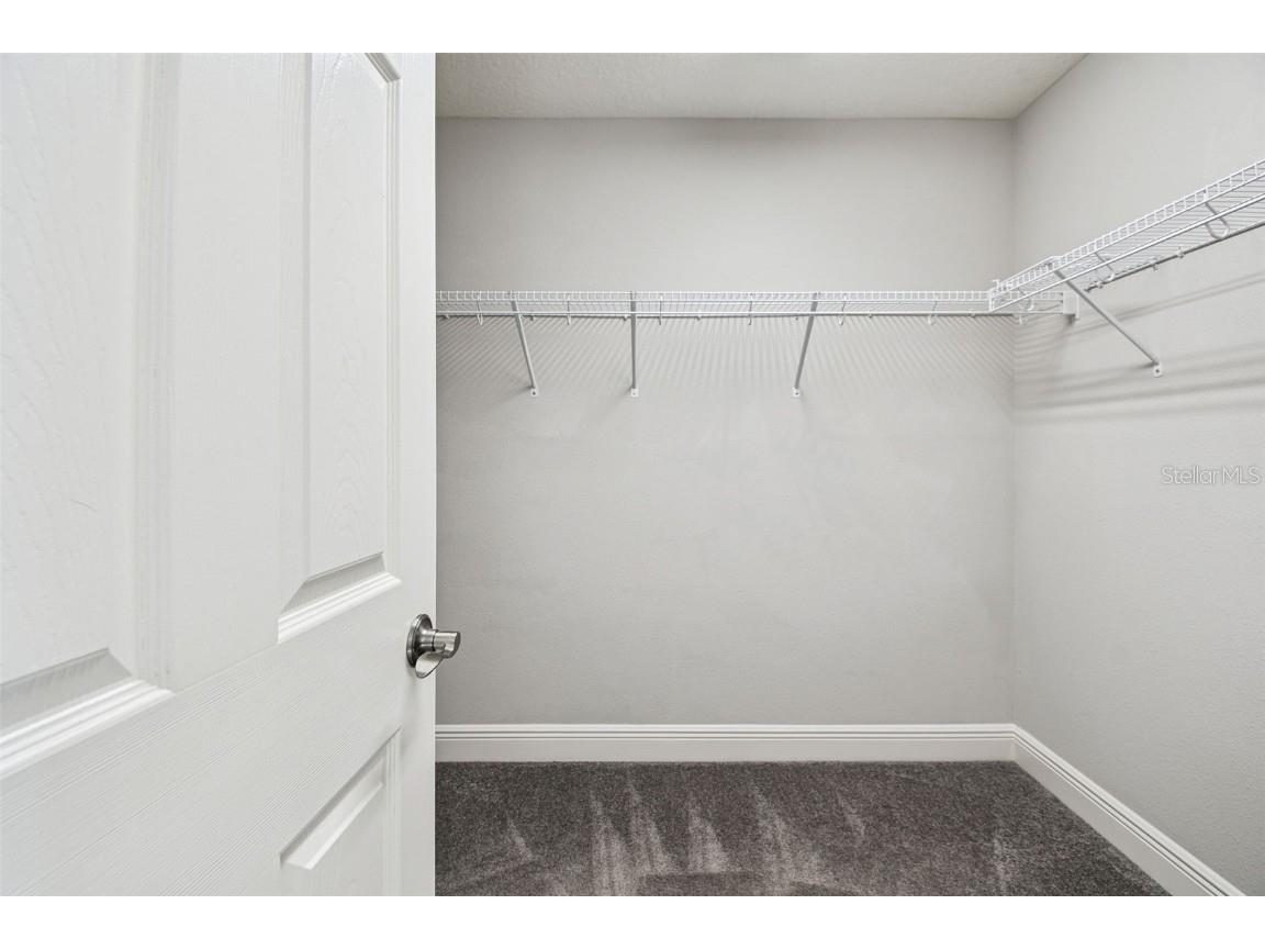 12413 Triple Creek Boulevard Riverview FL 33579 TB8444807 image39