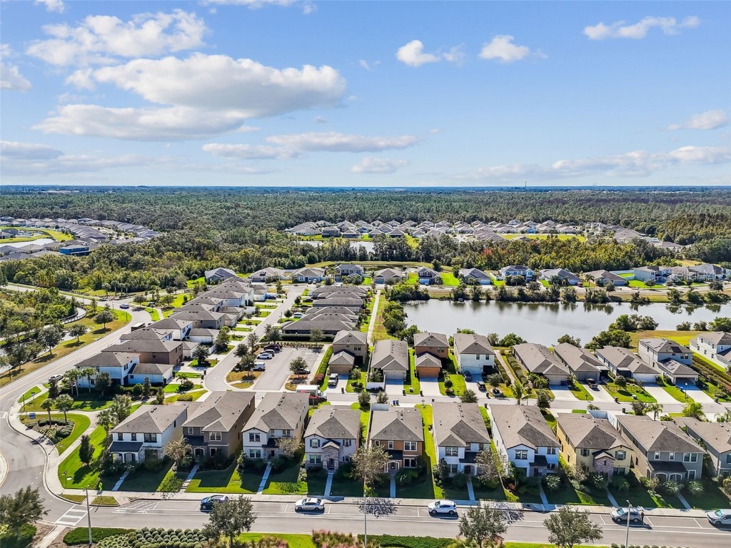 12413 Triple Creek Boulevard Riverview FL 33579 TB8444807 image49