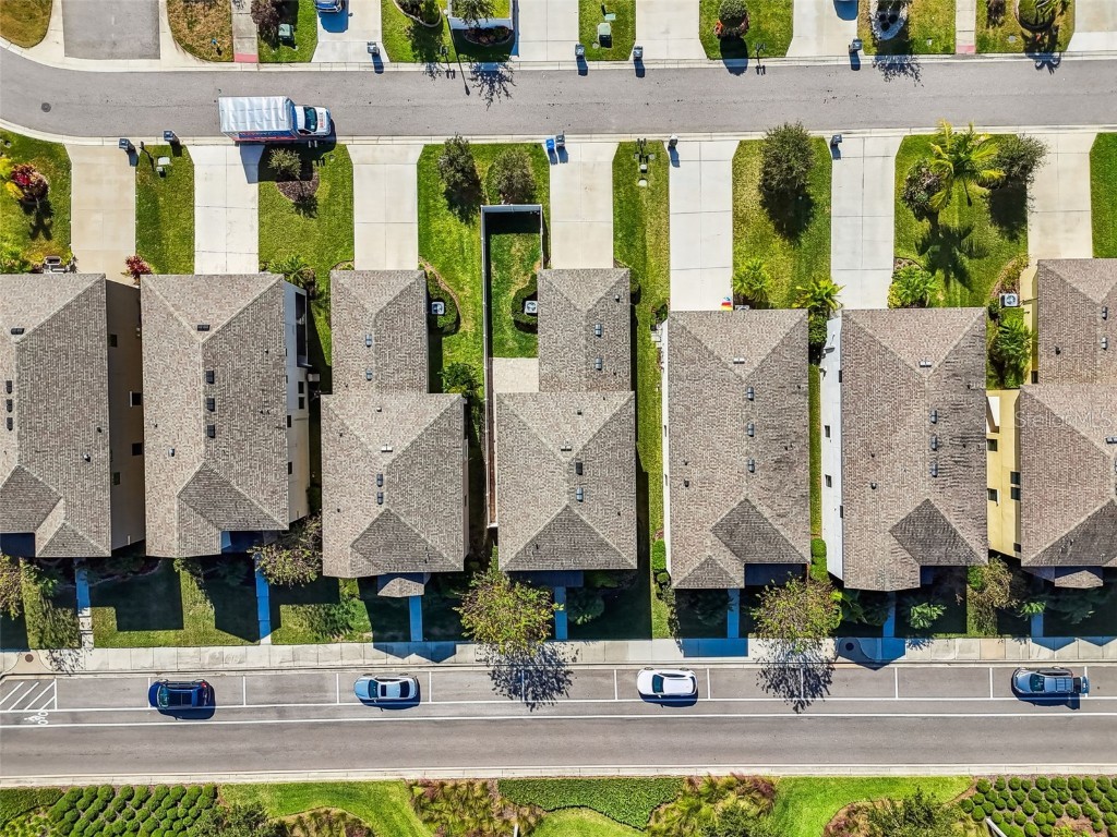 12413 Triple Creek Boulevard Riverview FL 33579 TB8444807 image50