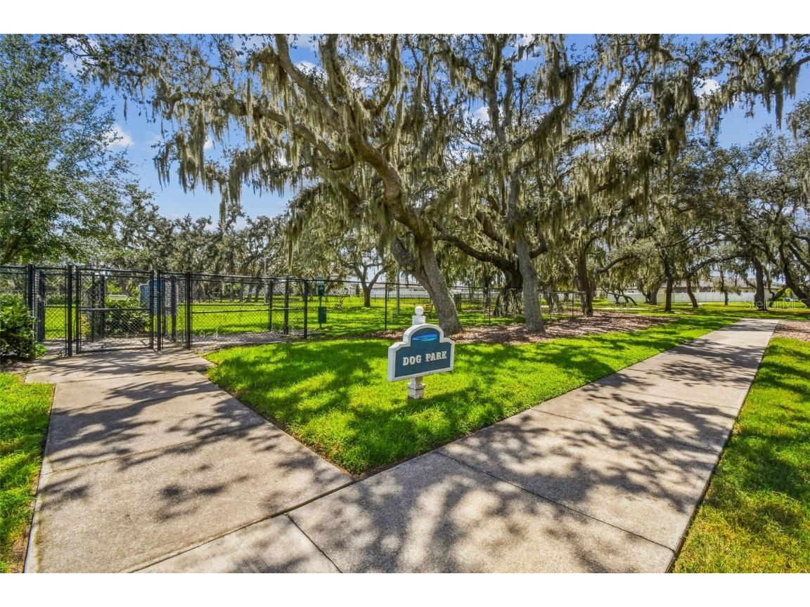 12413 Triple Creek Boulevard Riverview FL 33579 TB8444807 image66