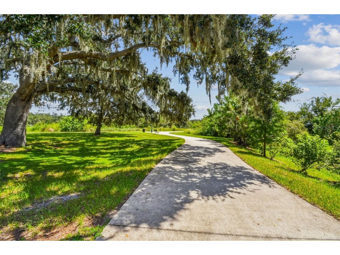 12413 Triple Creek Boulevard Riverview FL 33579 TB8444807 image67