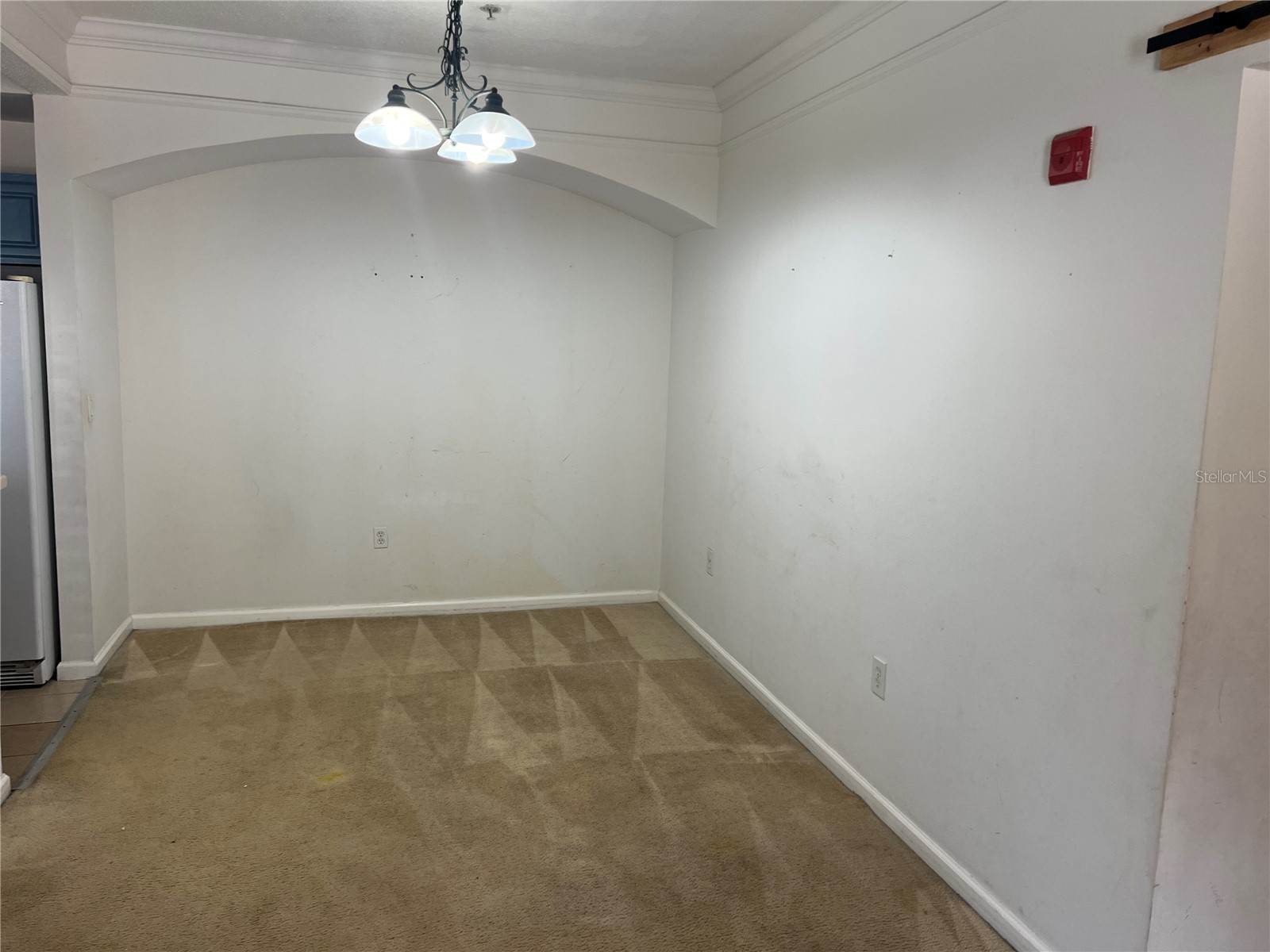 12414 Baleria Cove #105 Orlando FL 32837 O6417168 image13