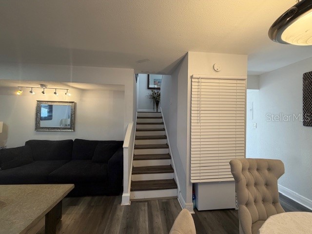 12414 N 58th Street #63 Tampa FL 33617 TB8453909 image11