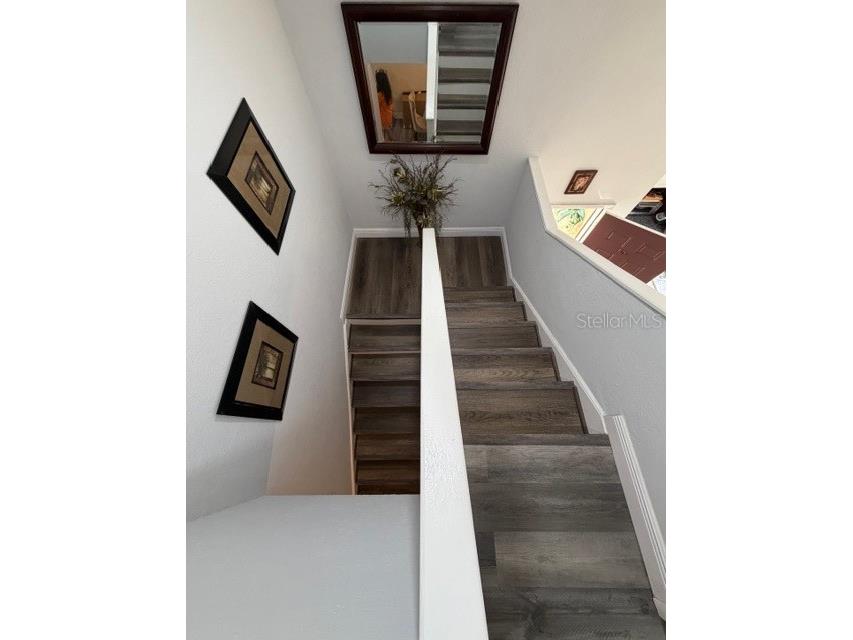 12414 N 58th Street #63 Tampa FL 33617 TB8453909 image12