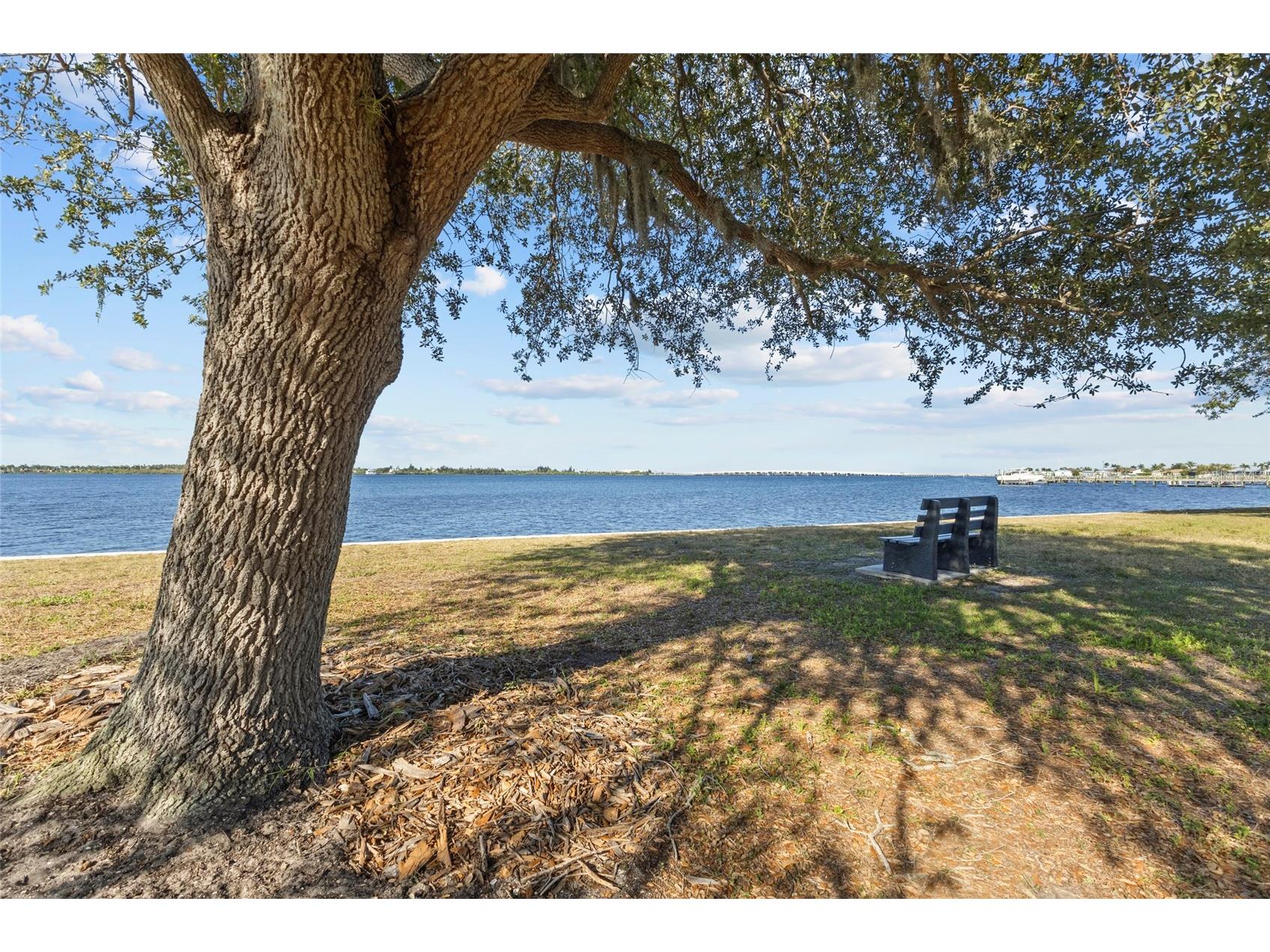12414 Quinlan Avenue Port Charlotte FL 33981 - MYAKKA RIVER C7526053 image10