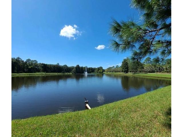 12415 Berkeley Square Drive Tampa FL 33626 TB8508156 image32