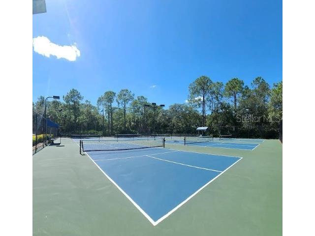 12415 Berkeley Square Drive Tampa FL 33626 TB8508156 image43