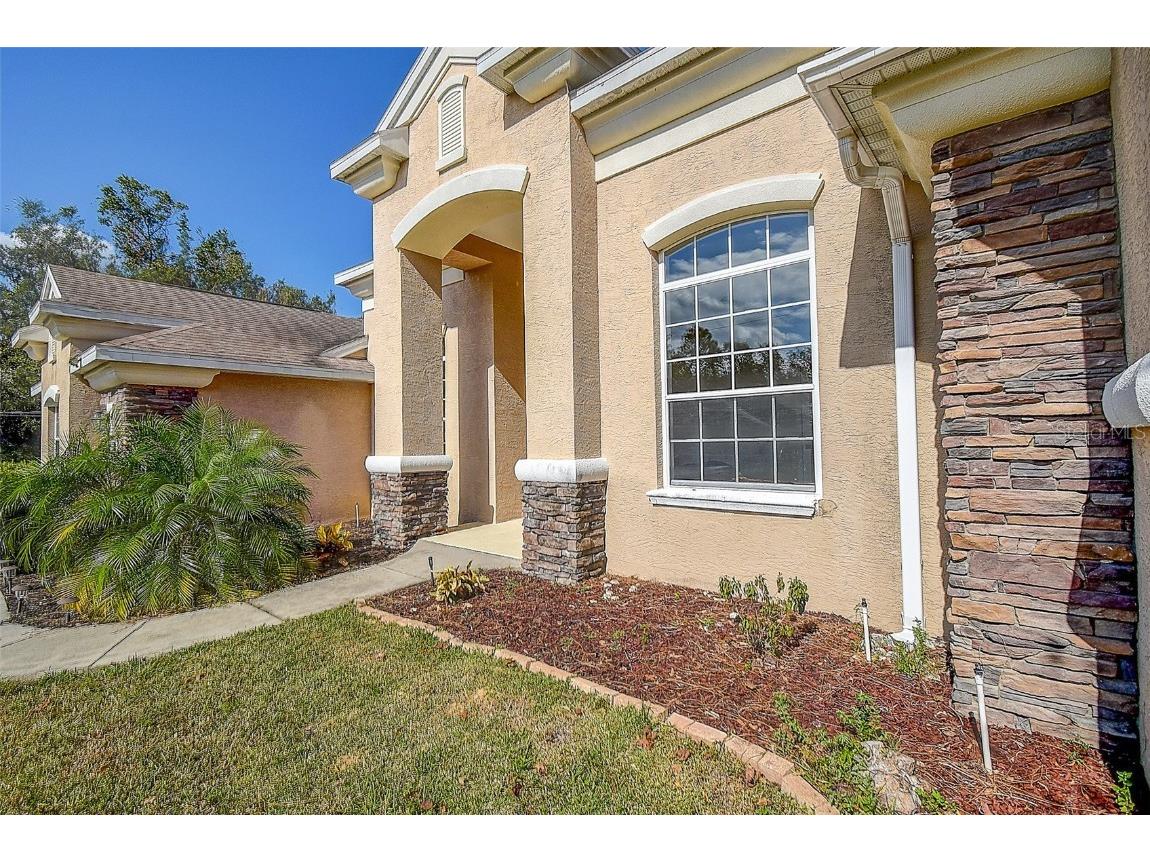 12415 Maycrest Avenue Weeki Wachee FL 34614 TB8317863 image1
